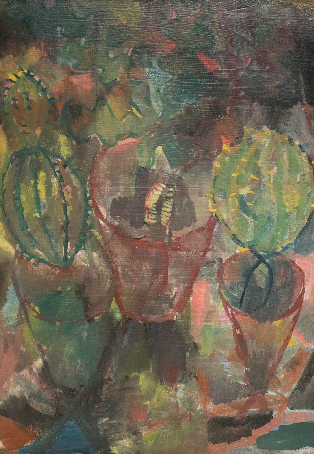 Cacti