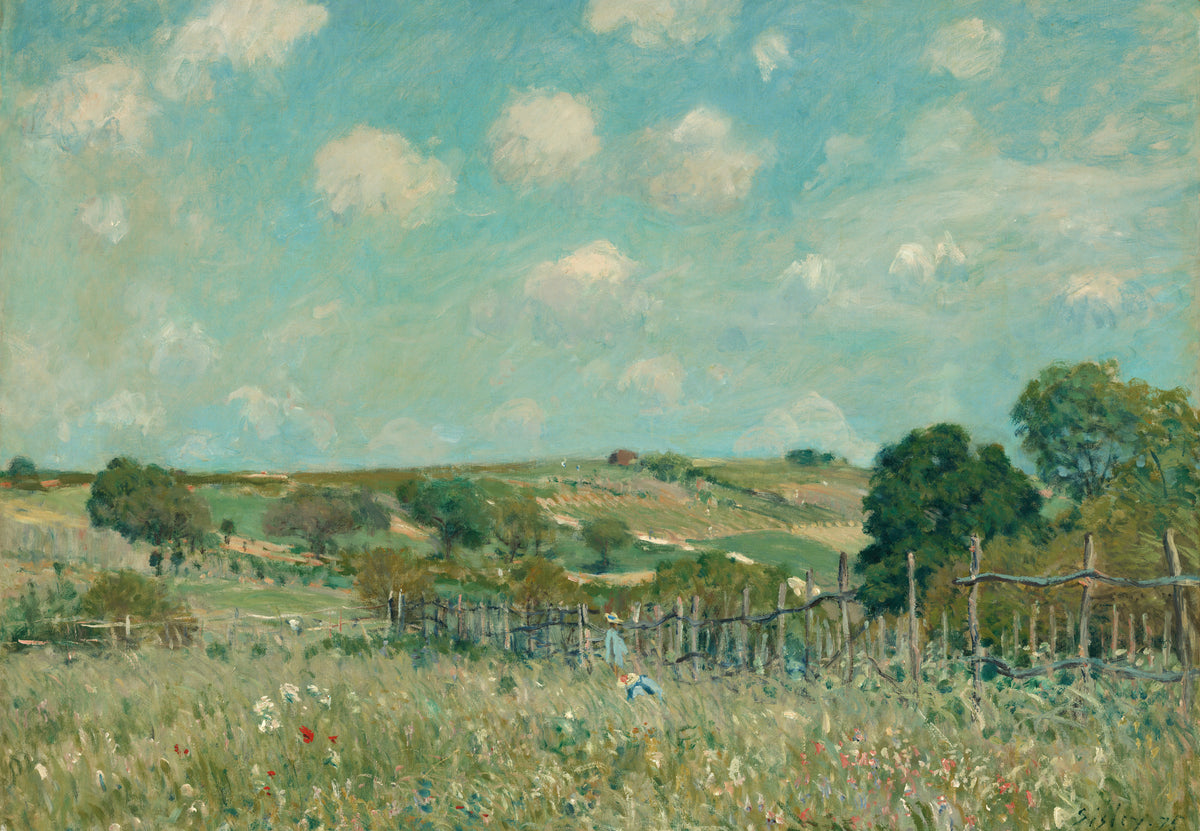 Il prato