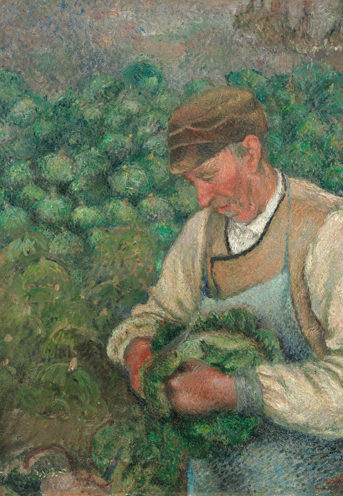 Der Gärtner (Alter Bauer mit Kohl)