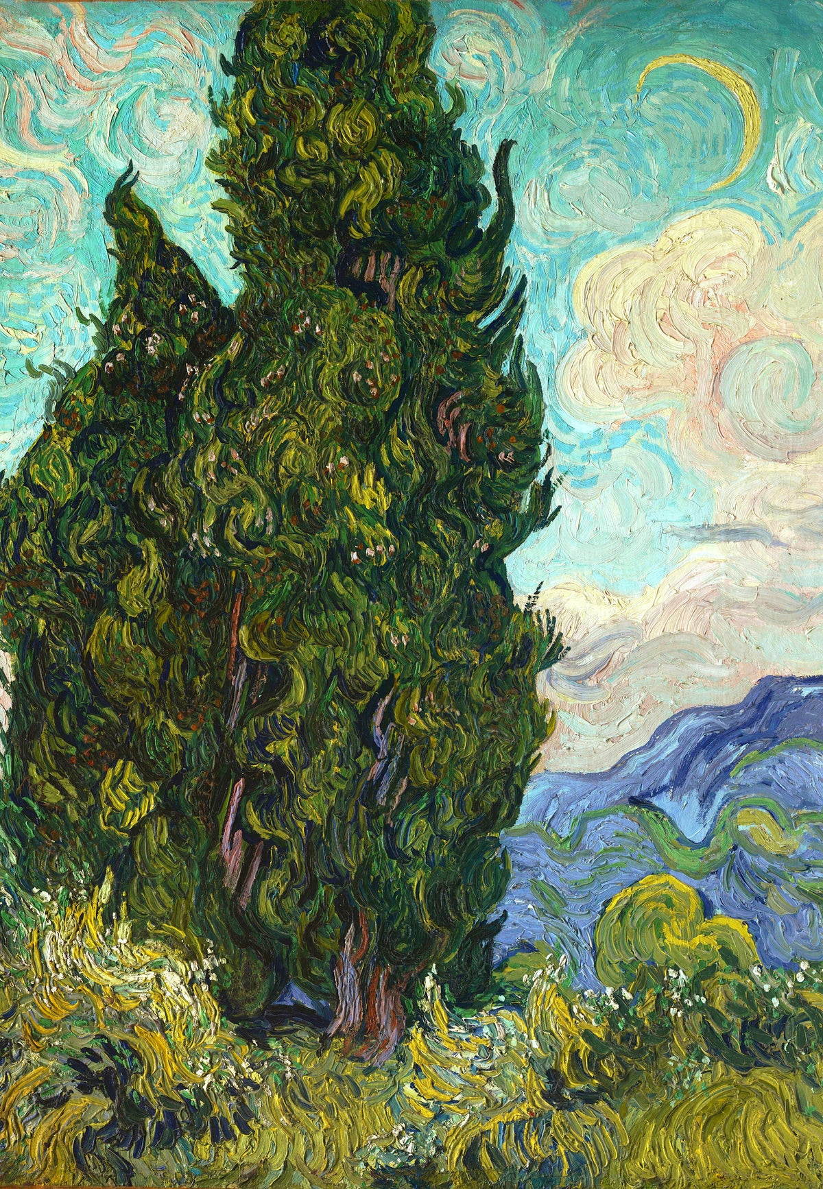 Cypresses