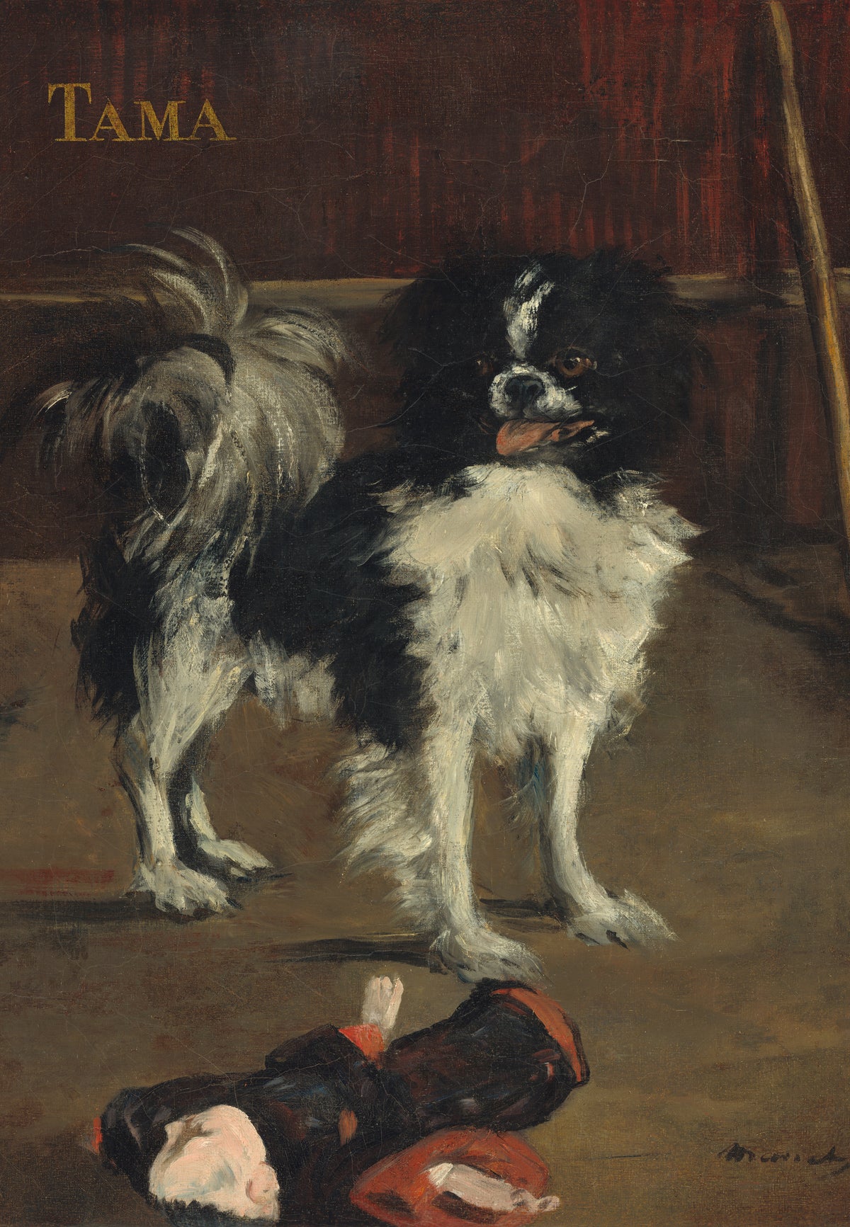 Tama, il cane giapponese