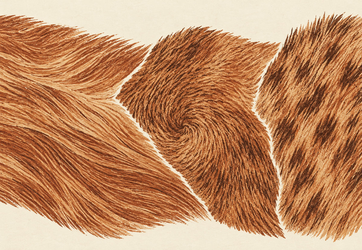 Swirl of Russet Fur (Landscape)