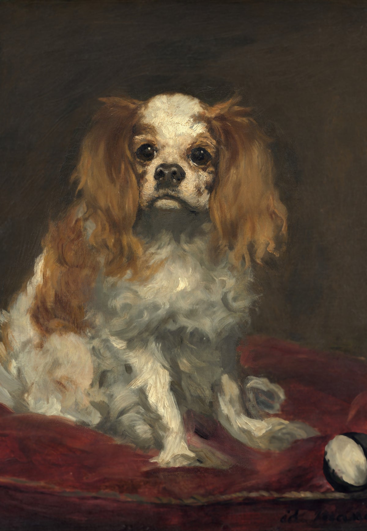 Un King Charles