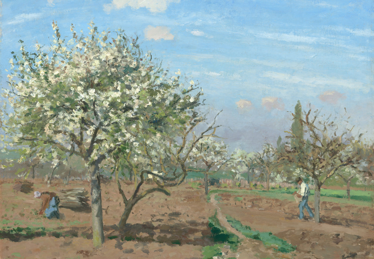 Blühender Obstgarten, Louveciennes