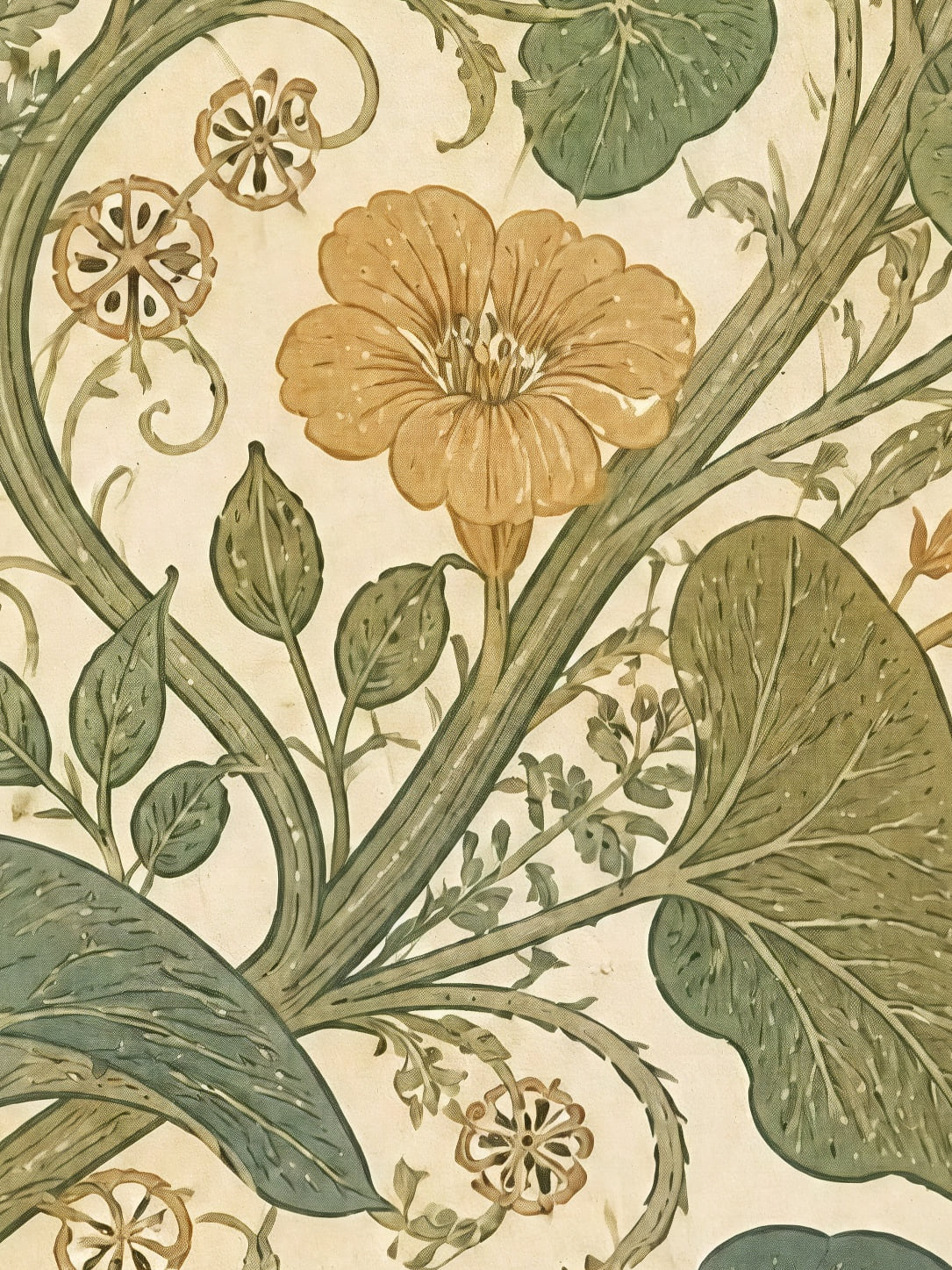 Detail a taille reelle du tirage, affiche botanique les capucines dans les fougeres