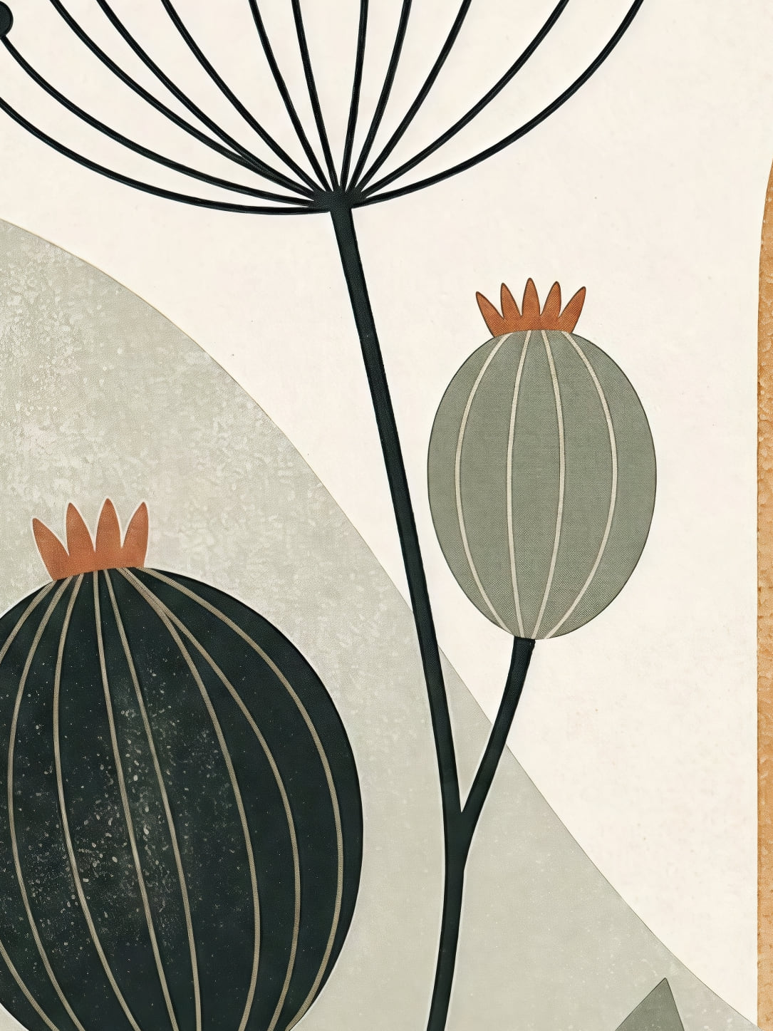 Detail a taille reelle du tirage, affiche botanique tiges et capsules sur ocre