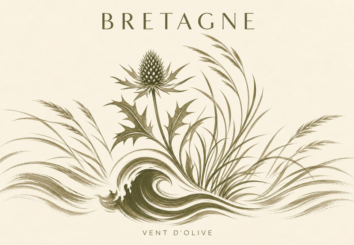 Bretagne - Die Distel im Wind (Querformat)
