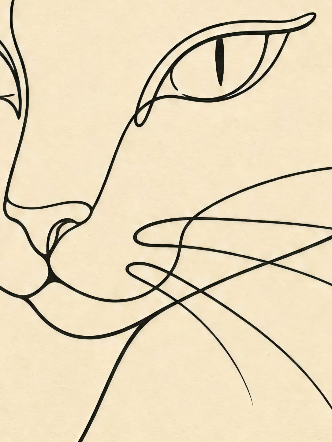 Detail a taille reelle du tirage, affiche chat le chat d un seul trait sur papier creme