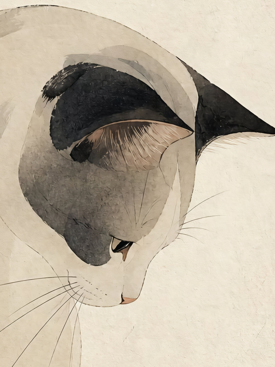 Detail a taille reelle du tirage, affiche chat le chat gris au disque orange