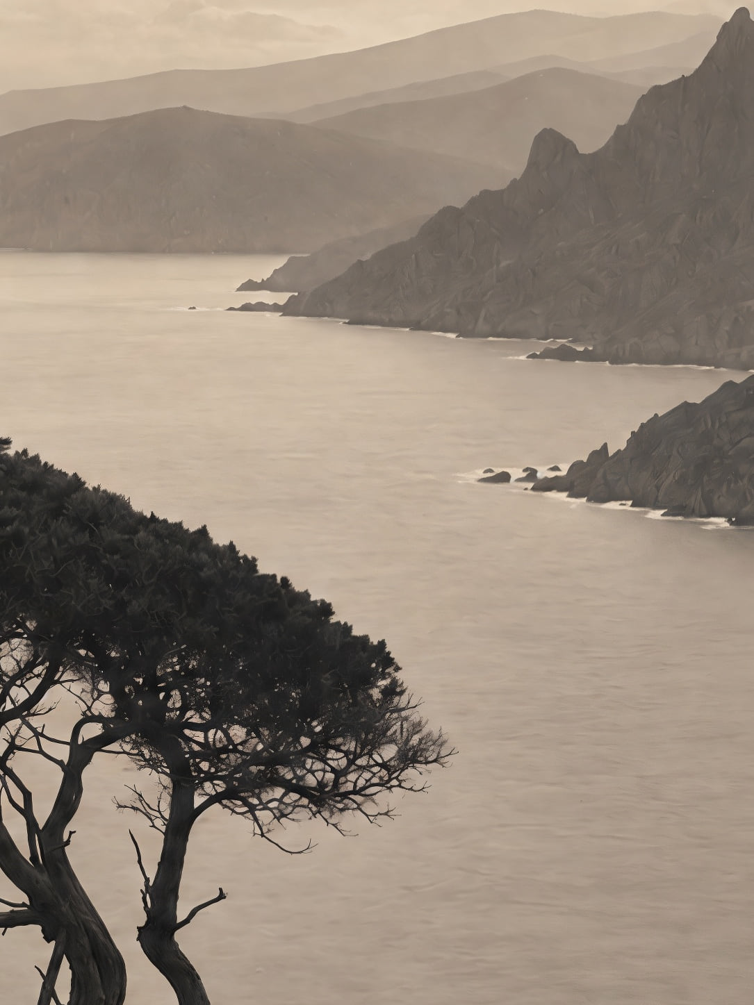 Detail a taille reelle du tirage, affiche corse le pin penche au dessus du golfe paysage