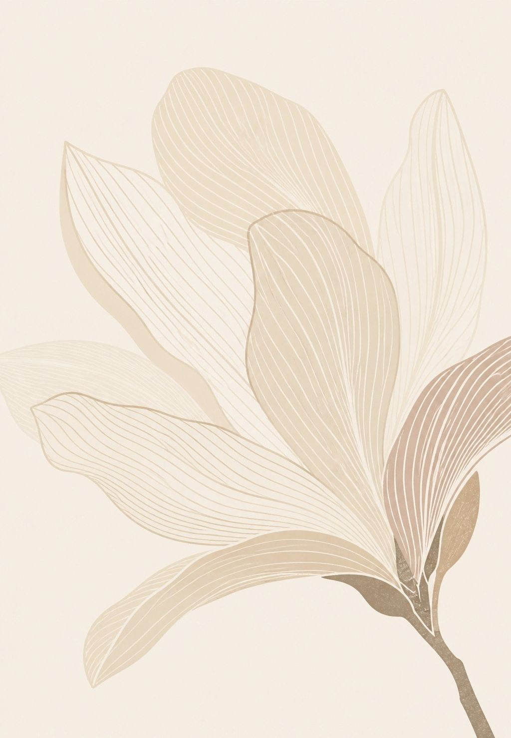 Magnolia, która się otwiera