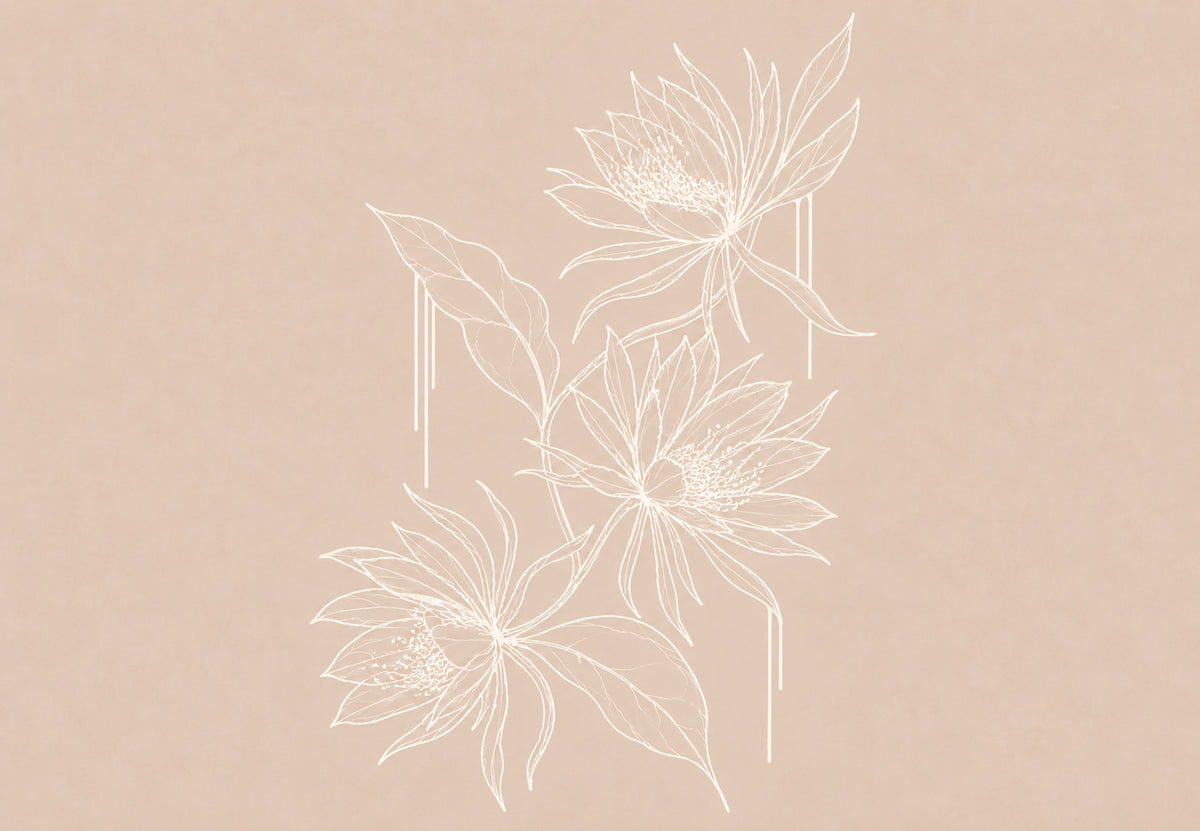 Blumen in weißer Linie (Querformat)