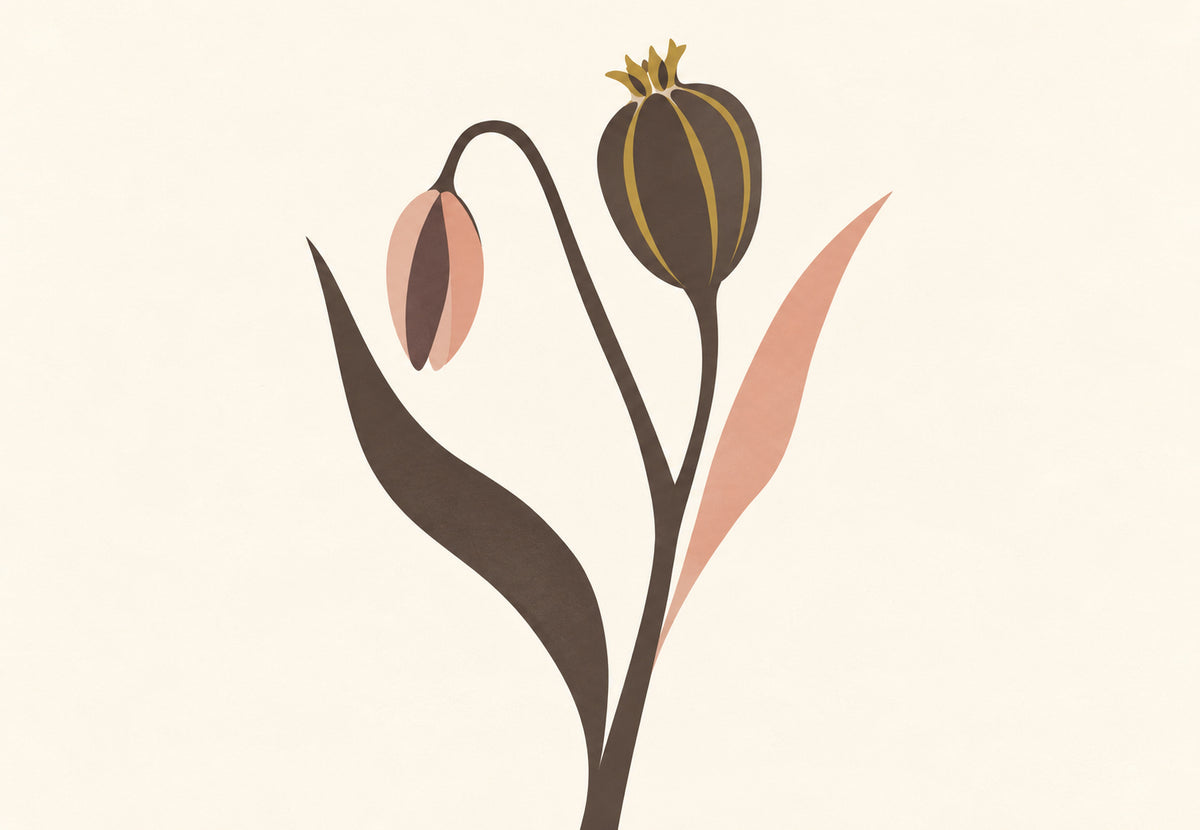 Pink Bud and Striped Seed Pod (Landscape)