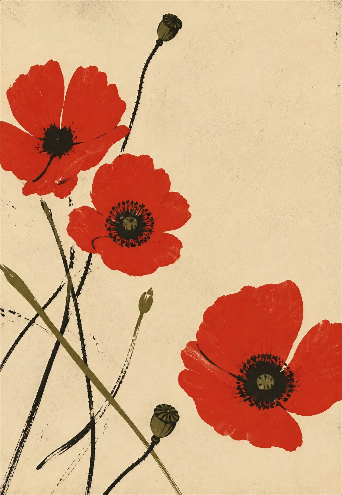 Wilder Mohn