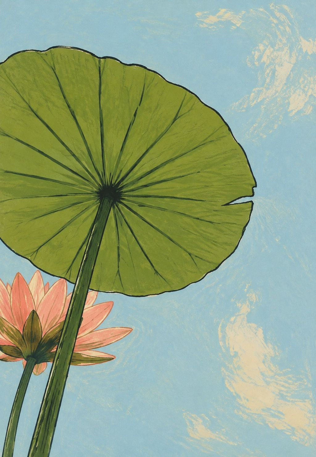 Water Lily Leaf and Pink Flowers