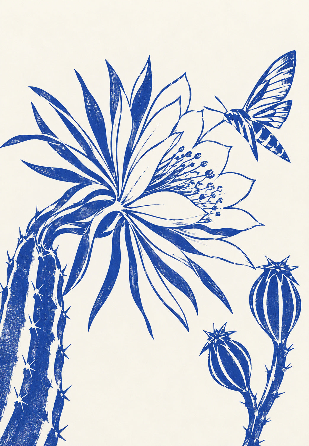 Cactus Flower and Butterfly