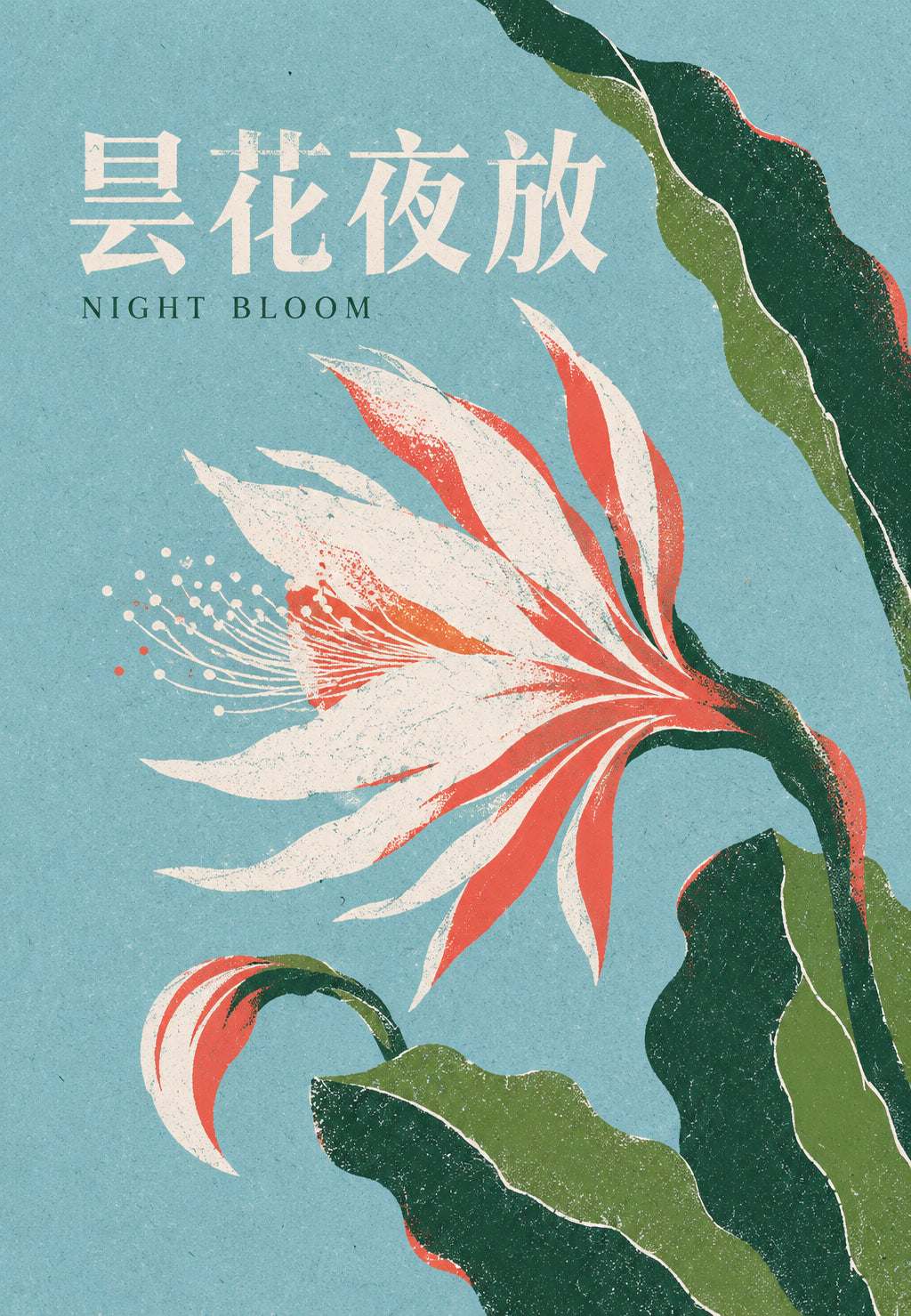 Éjszakai virág
