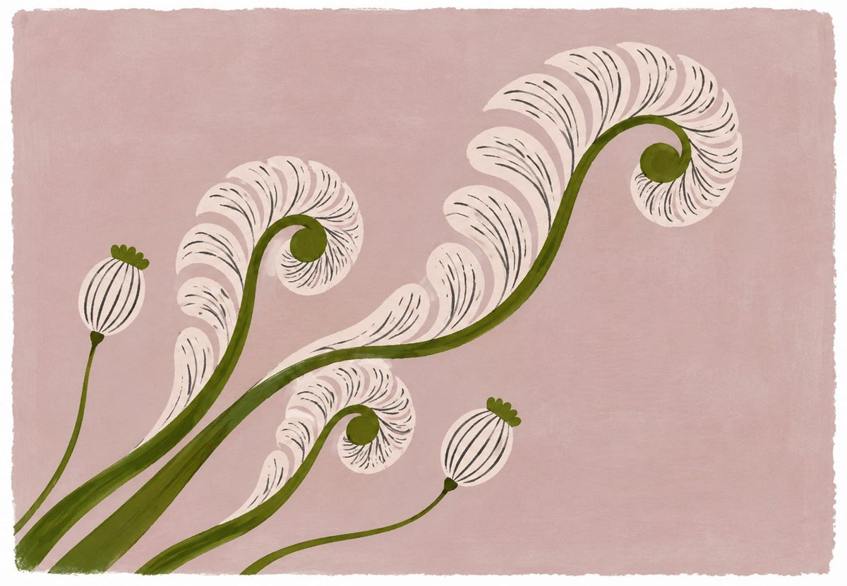 Fern fronds in spirals and poppy seed pods (Landscape)