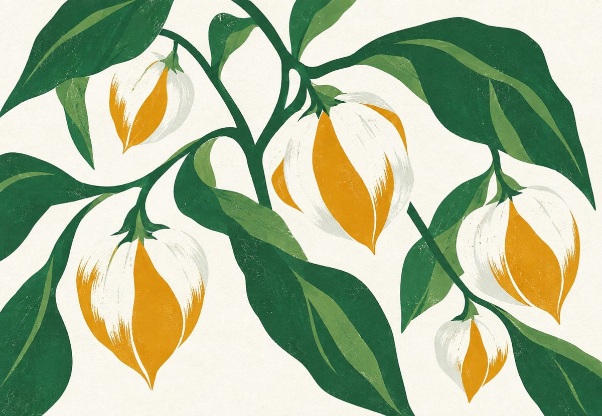 Lantern Fruits and Green Foliage