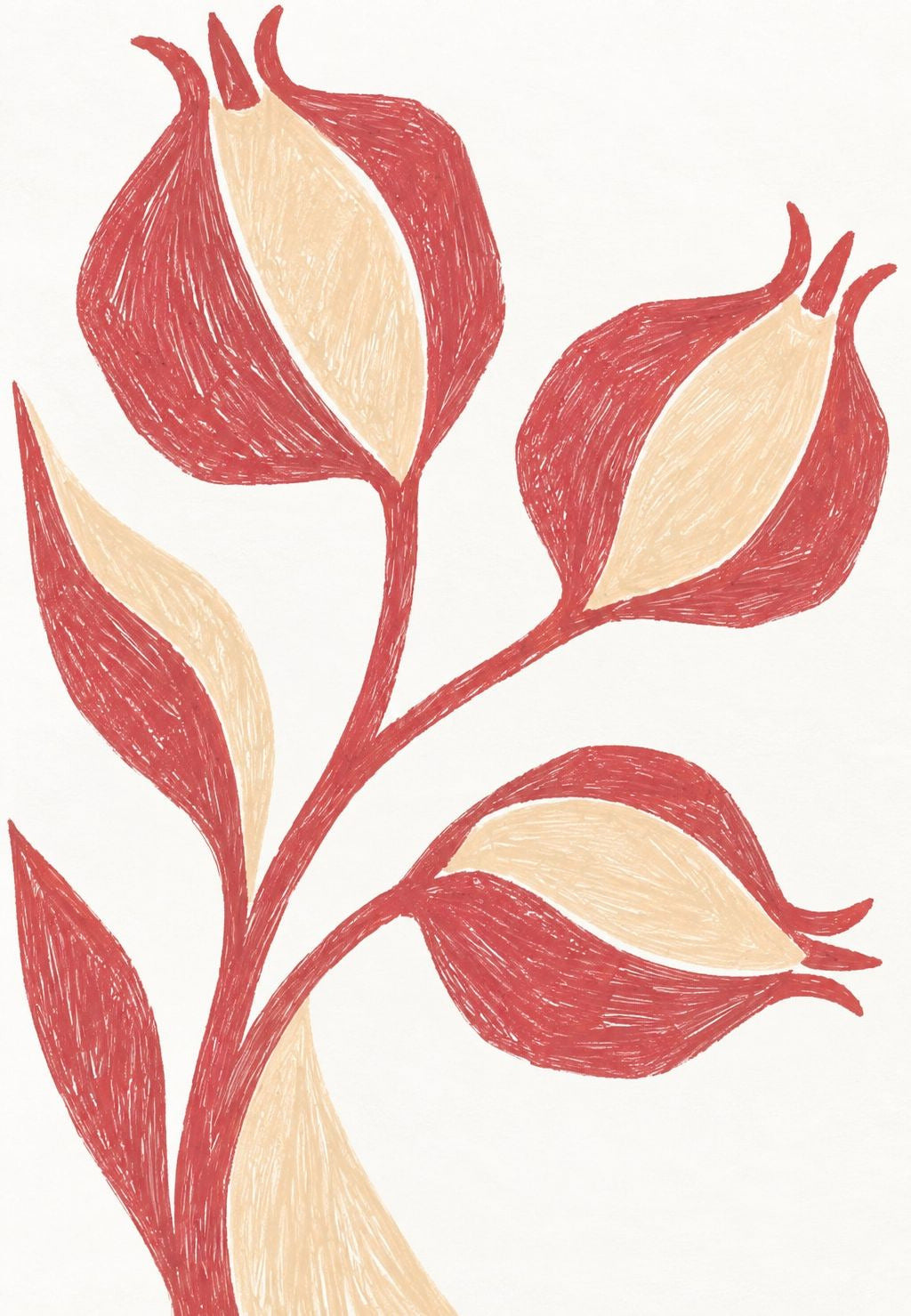 Split Pomegranates on a Leafy Stem
