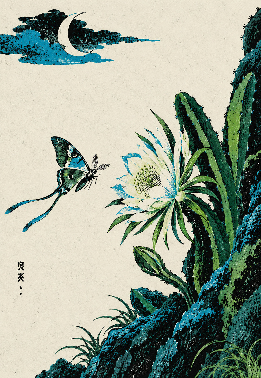 The Night Flower and the Butterfly