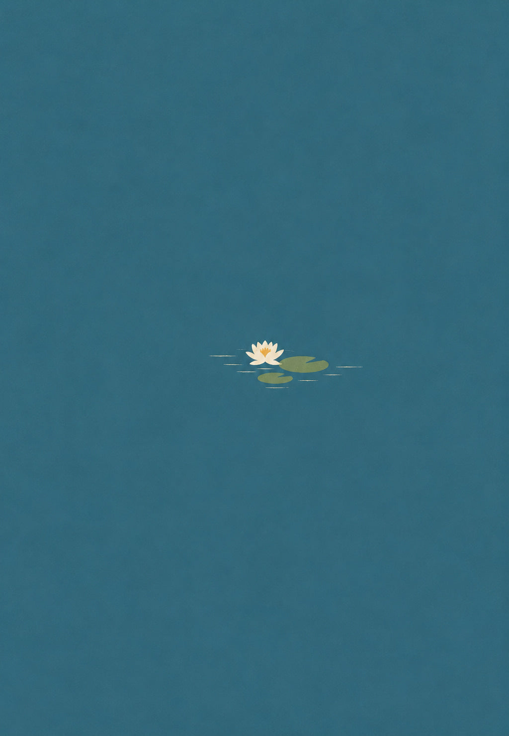 Nénuphar solitaire sur l'eau calme