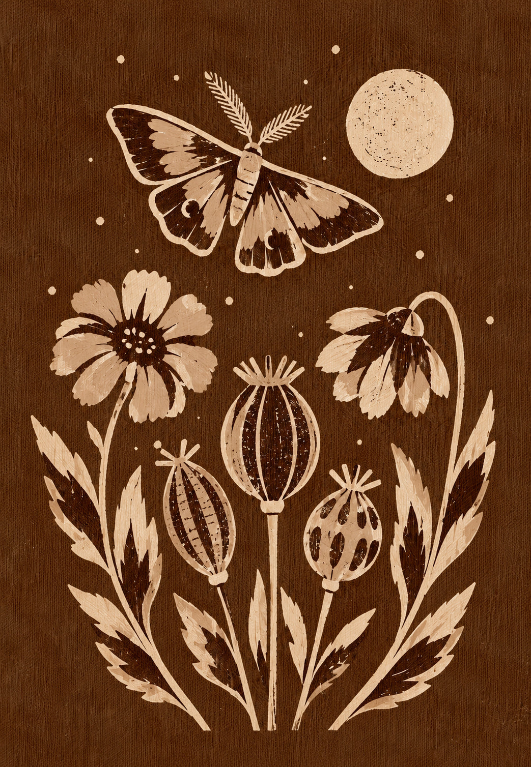 Night Moth and Poppy Flowers