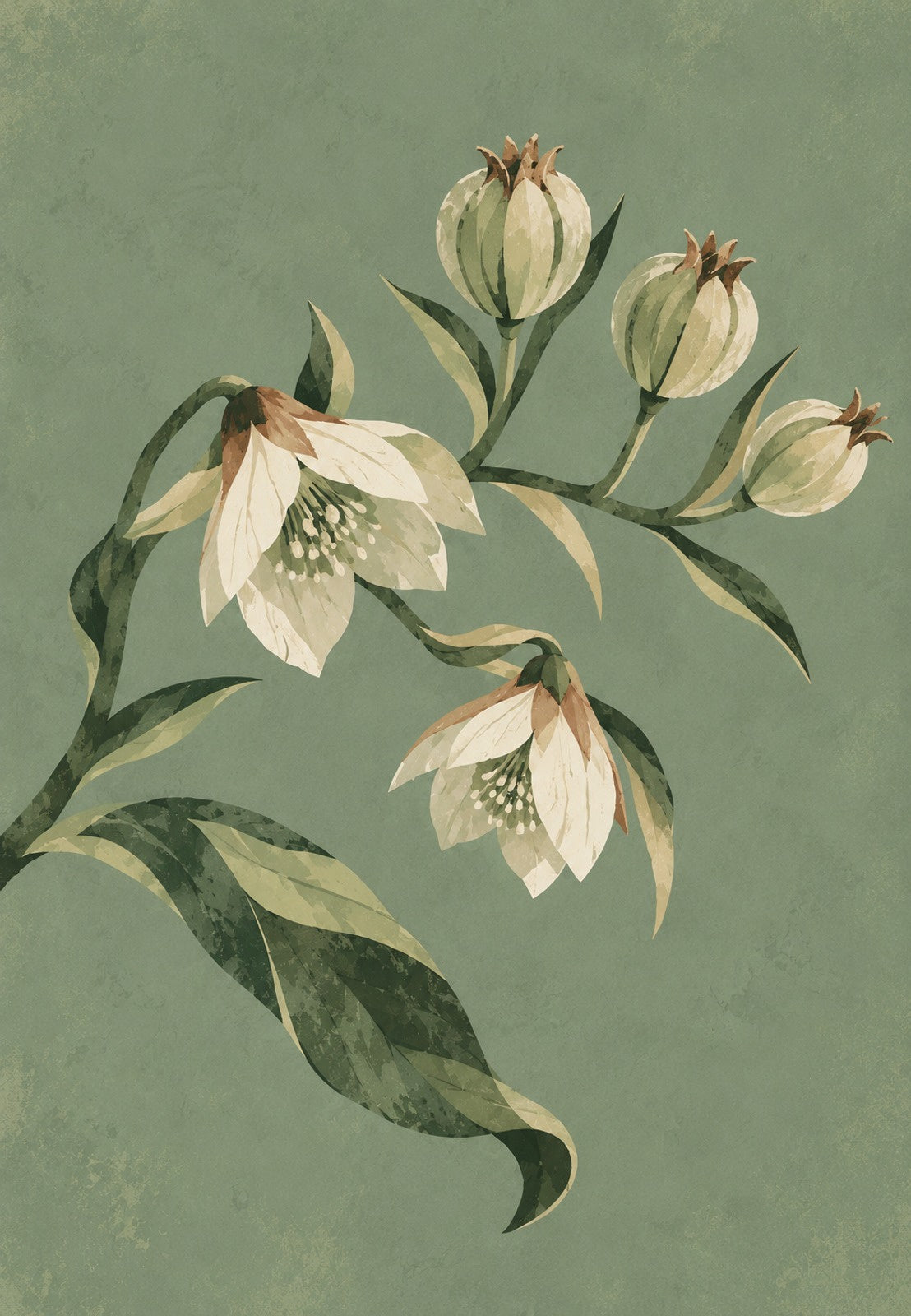 Christrosenzweig in Blüte