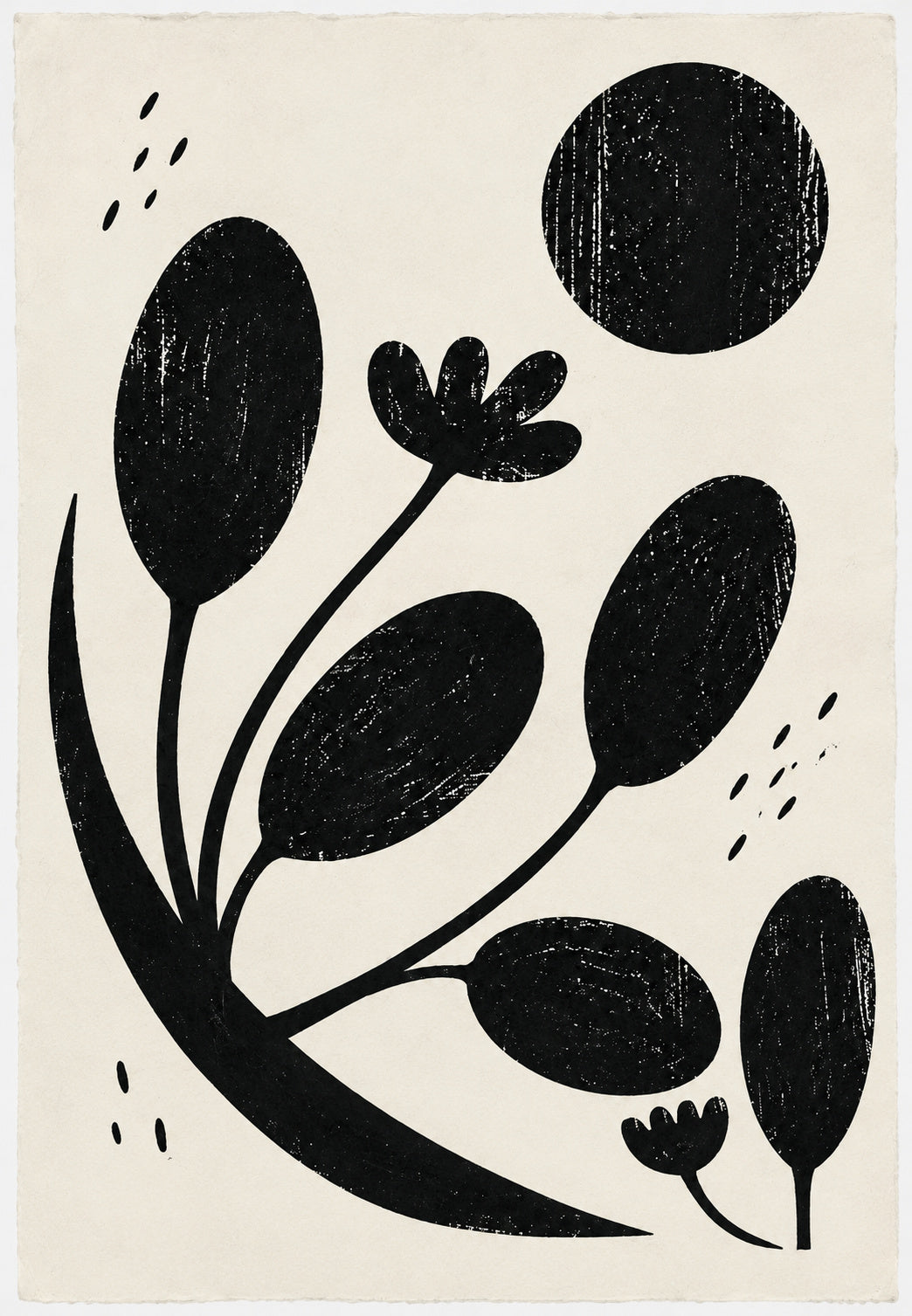 Silhouette di fiori e semi