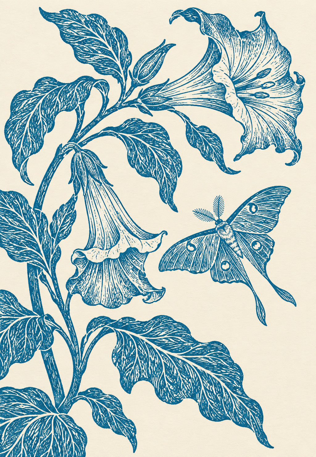 Blue Trumpets and Night Moth