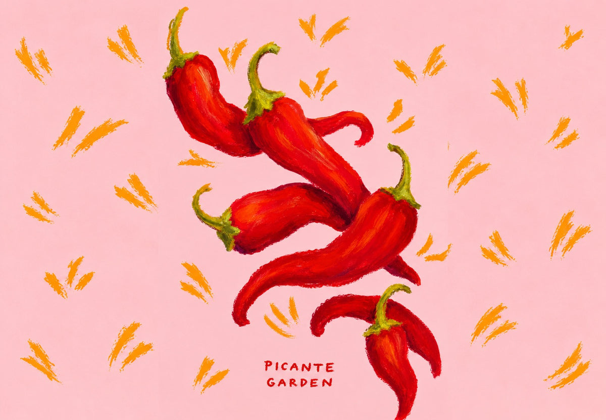 Die Chilis auf Rosa (Querformat)
