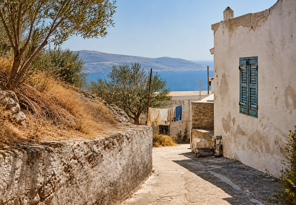 Il vicolo del bucato e degli ulivi (Orizzontale)