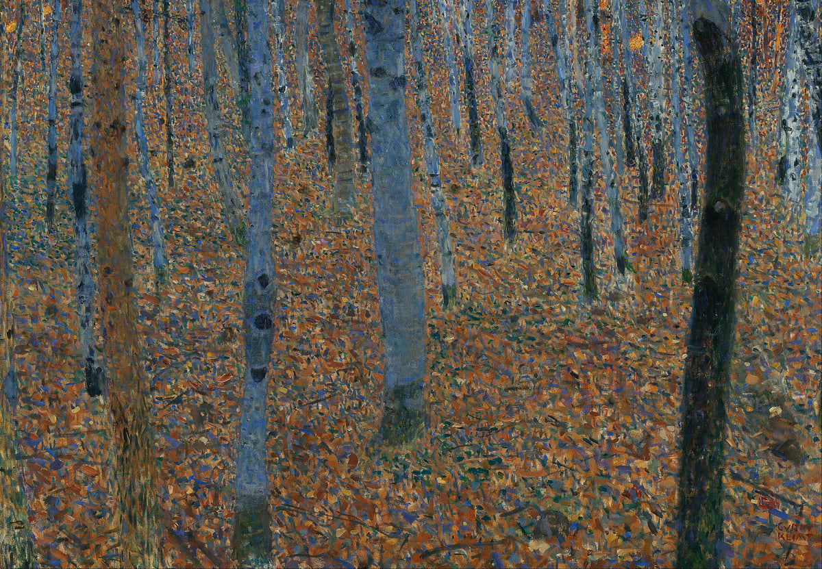 Bosco di faggi