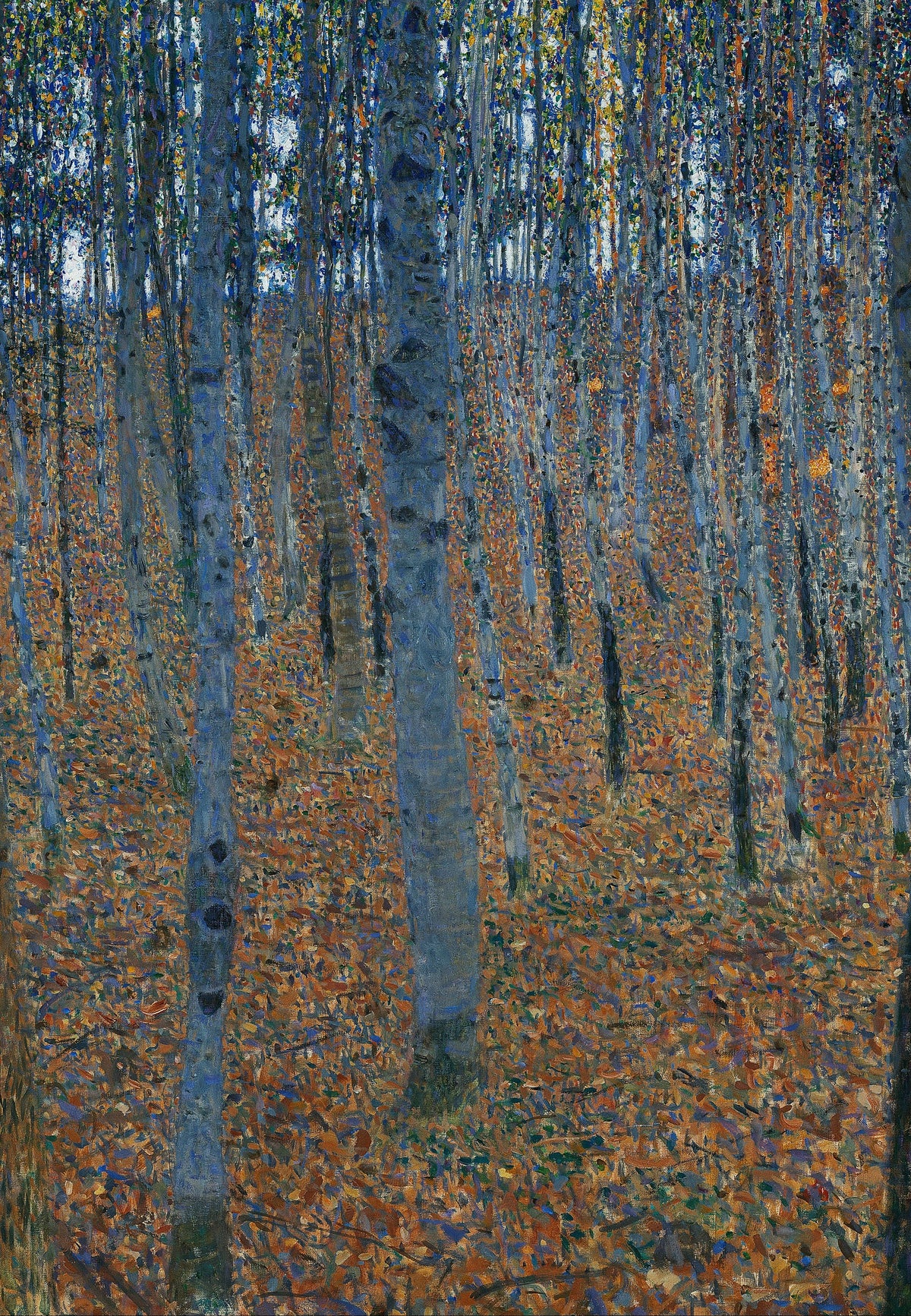 Forêt de Hêtres
