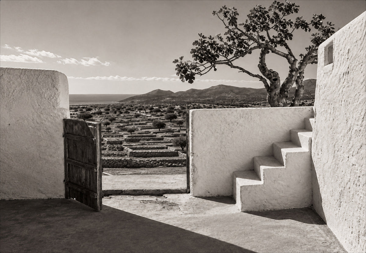 Ibiza - La escalera bajo la higuera (Horizontal)