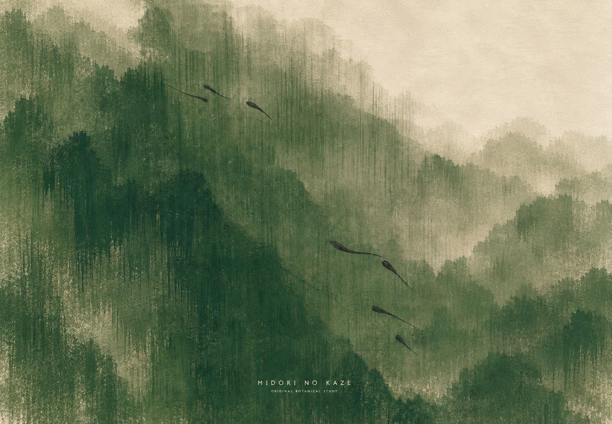 The wind in the leaves (Landscape)