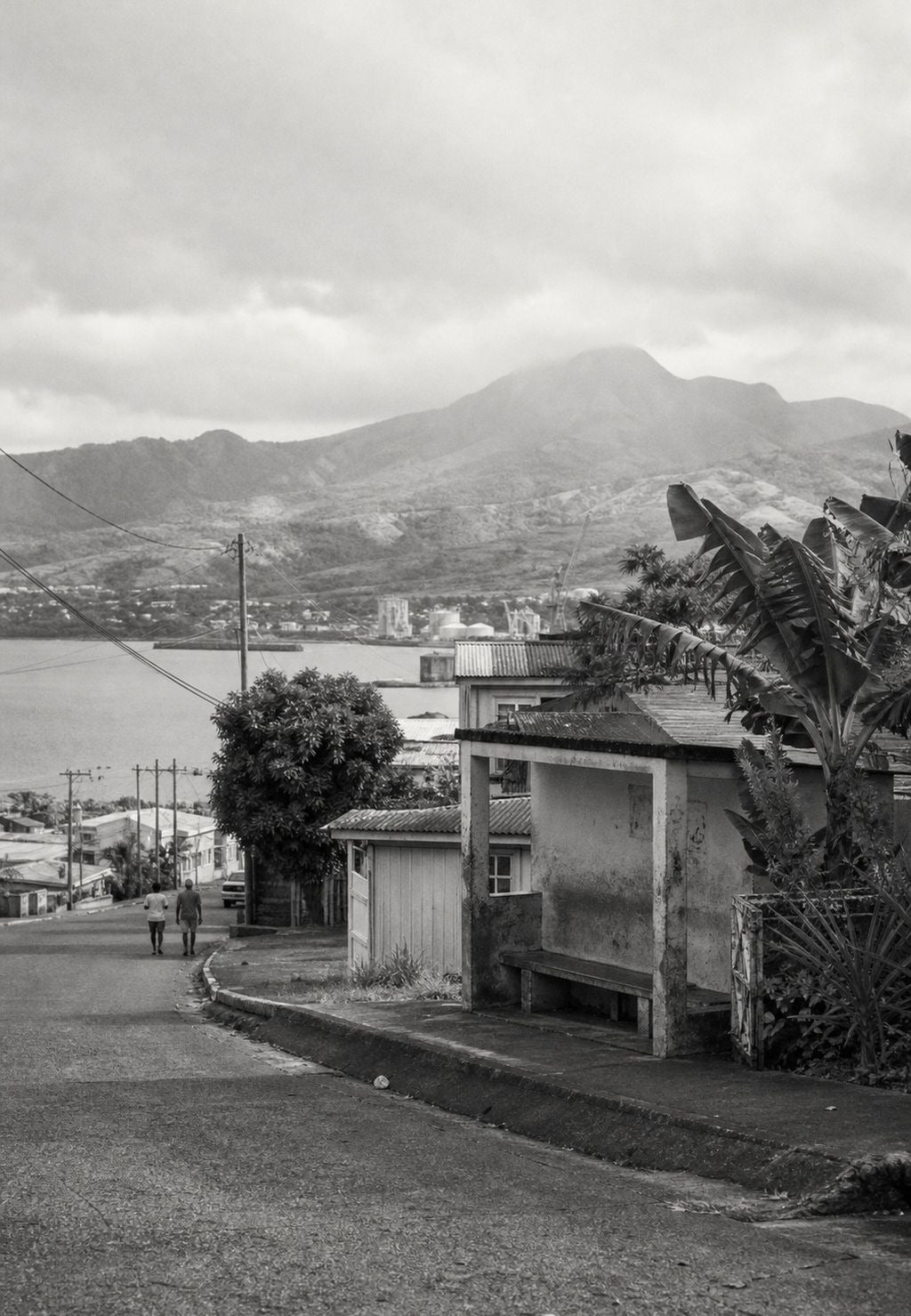 Martinique - Mirna cesta podno vulkana