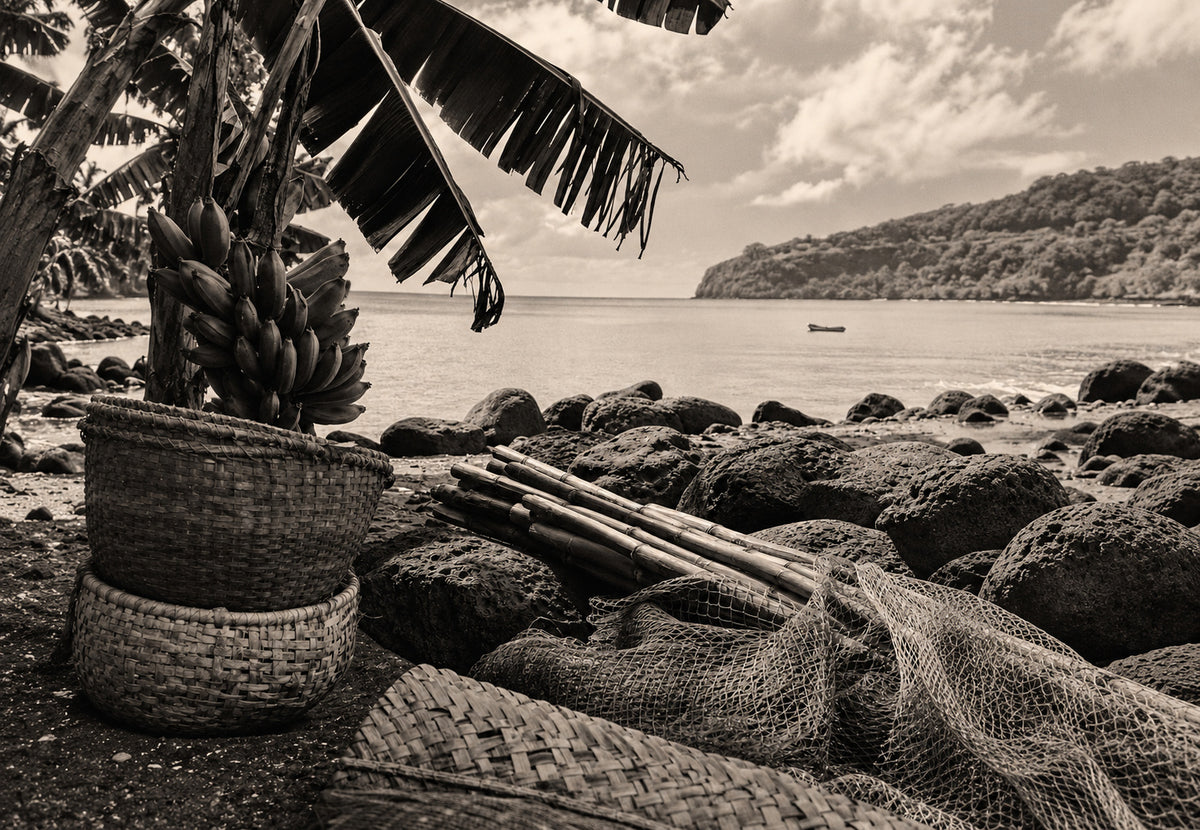Martinique - Cestas junto al agua (Horizontal)