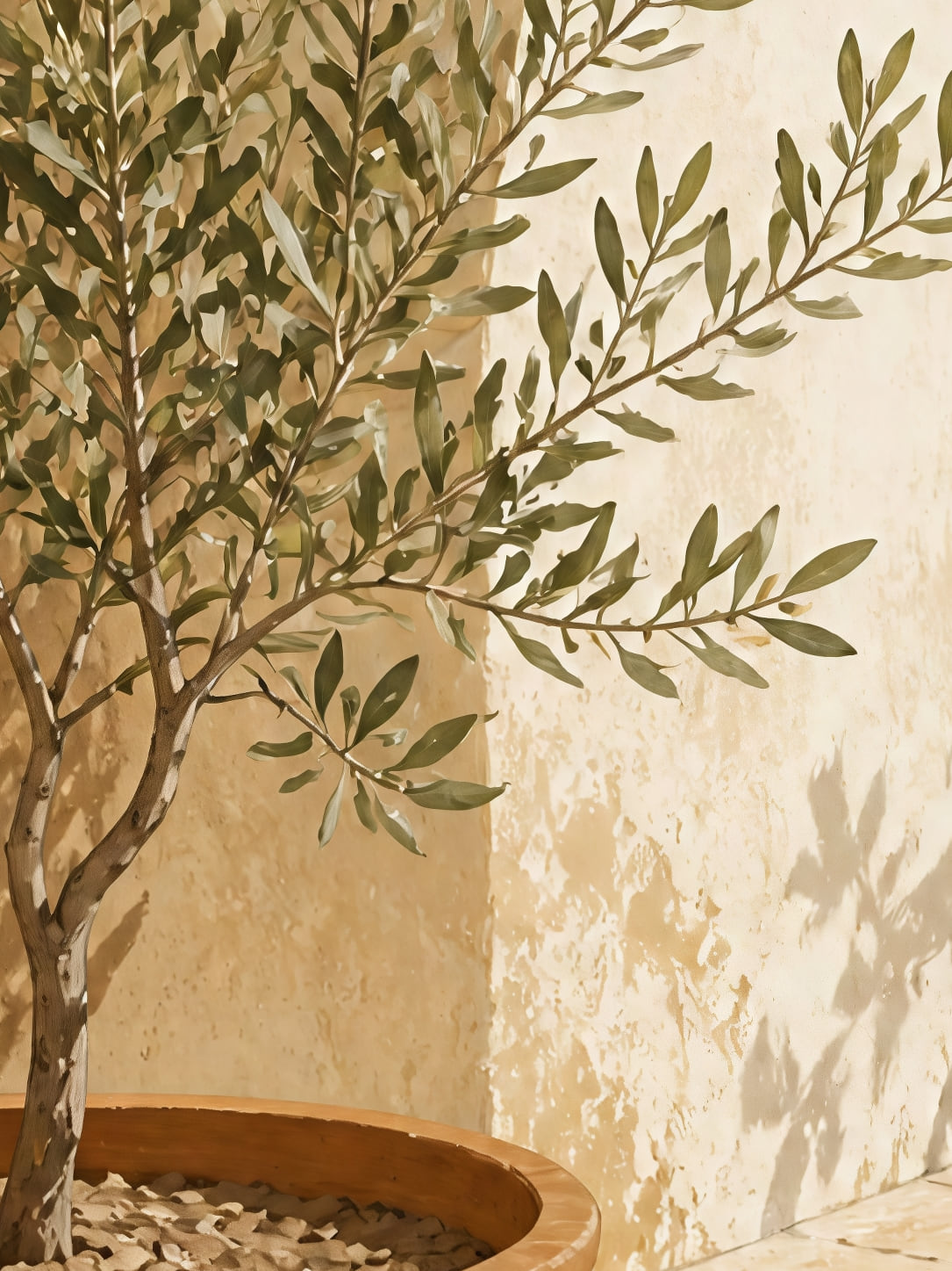 Detail a taille reelle du tirage, affiche mediterraneenne olivier en pot et carreaux soleil