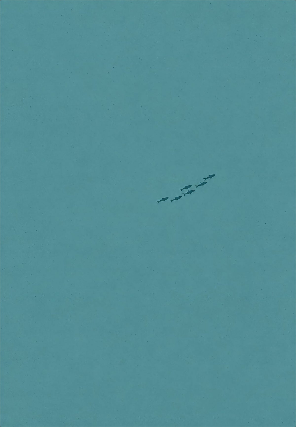 Fischschwarm im Blau