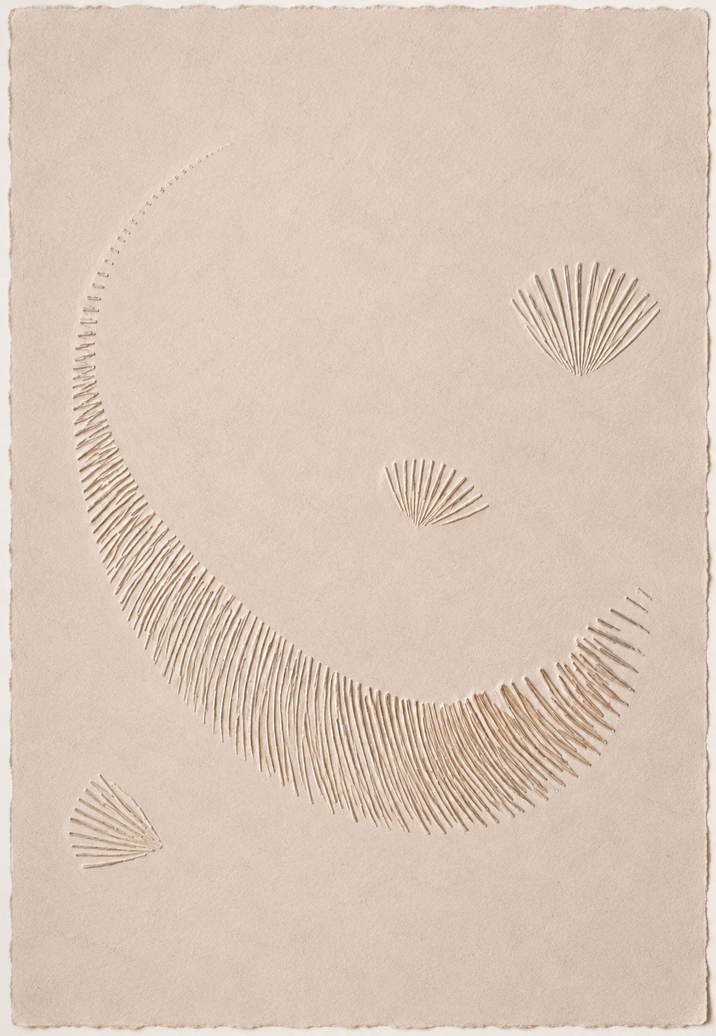 Coquillages et croissant en relief