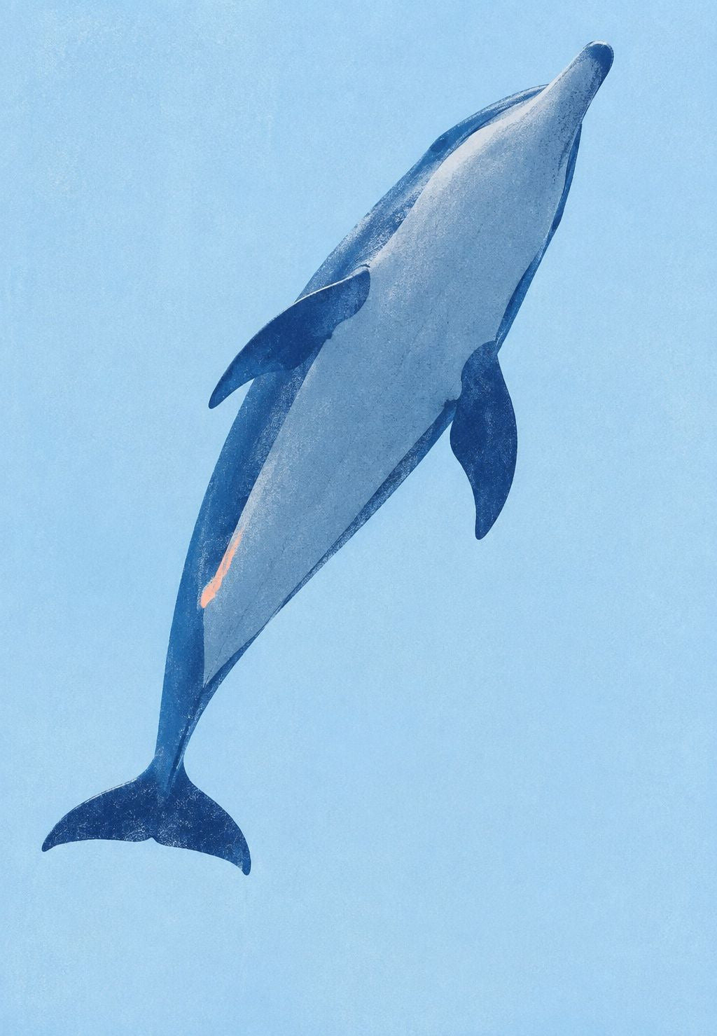 Diving Dolphin