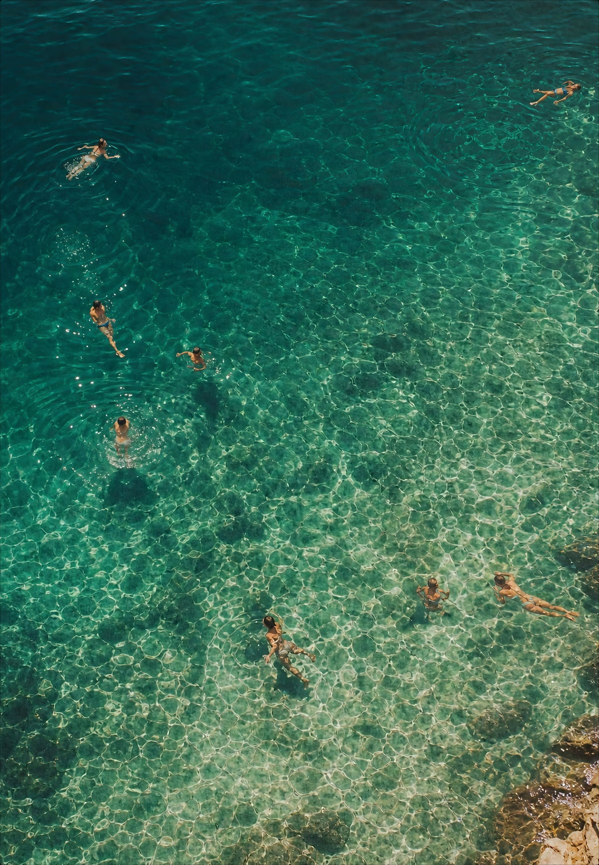 Die Schwimmer von oben gesehen