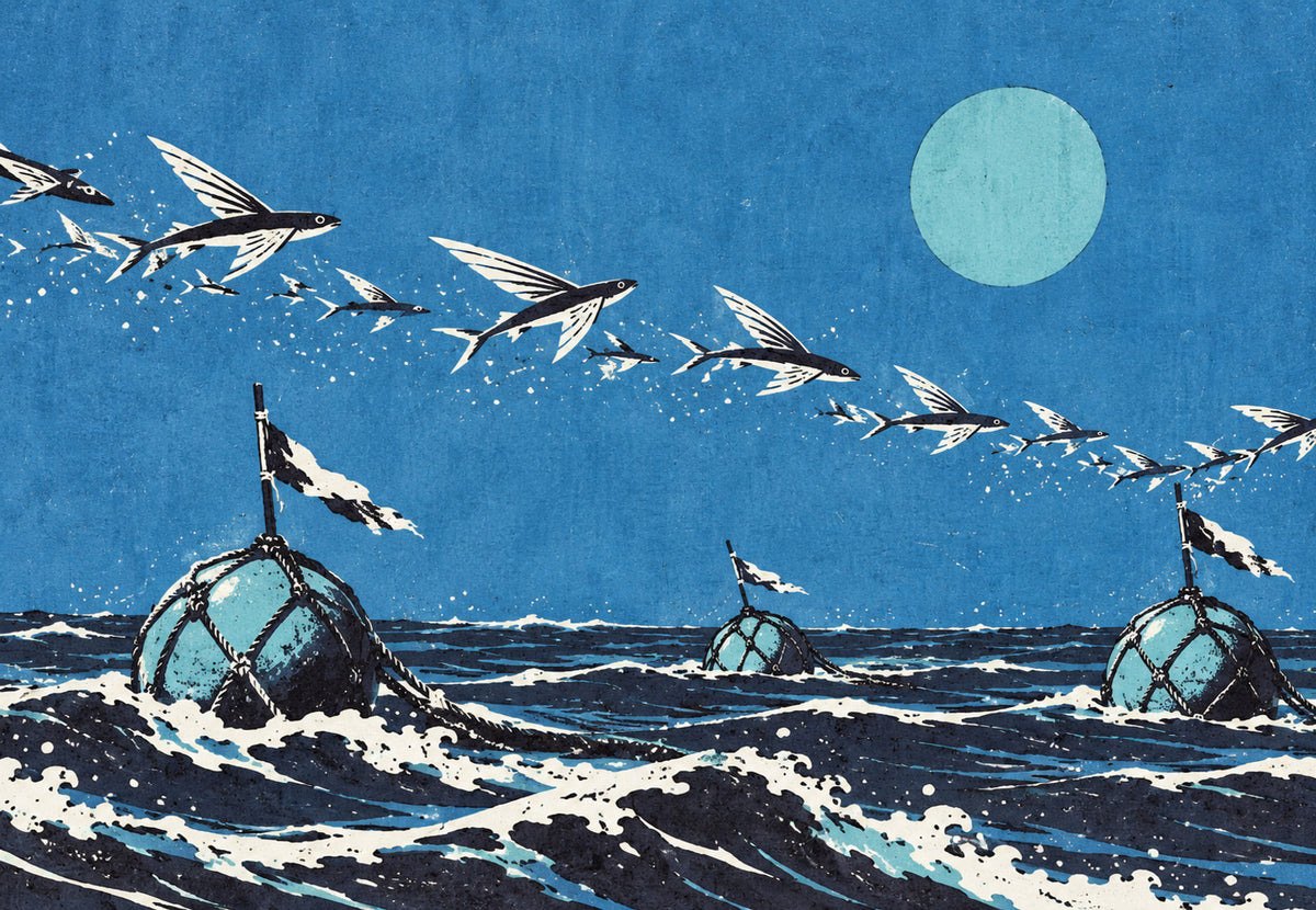 Flying Fish Under the Moon (Landscape)