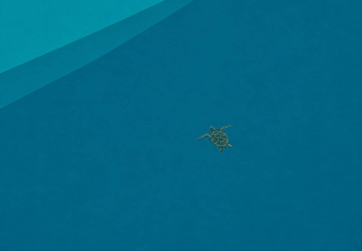 Tartaruga marina nel blu infinito (Orizzontale)