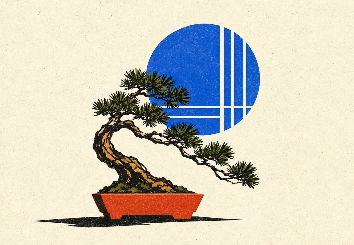 Bonsai diante de um grande disco azul (Horizontal)