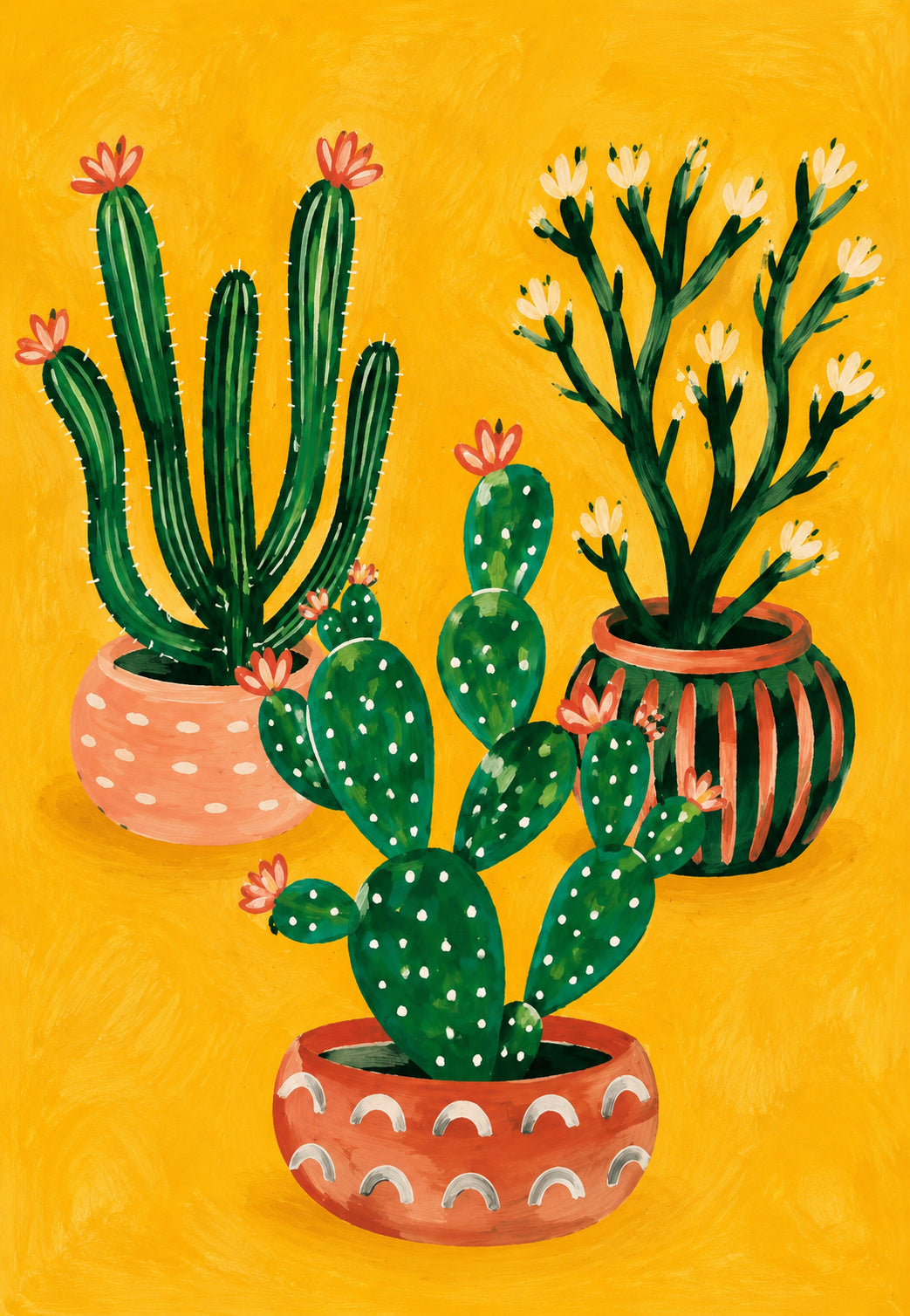 Flowering Cacti in Terracotta Pots