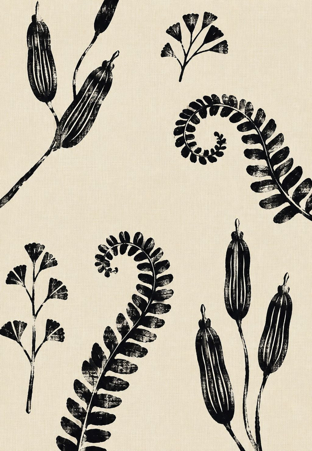 Ferns and Black Seed Pods