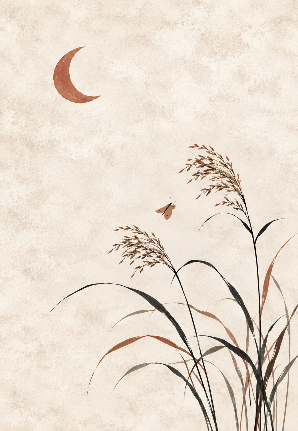 Erbe e luna di terracotta