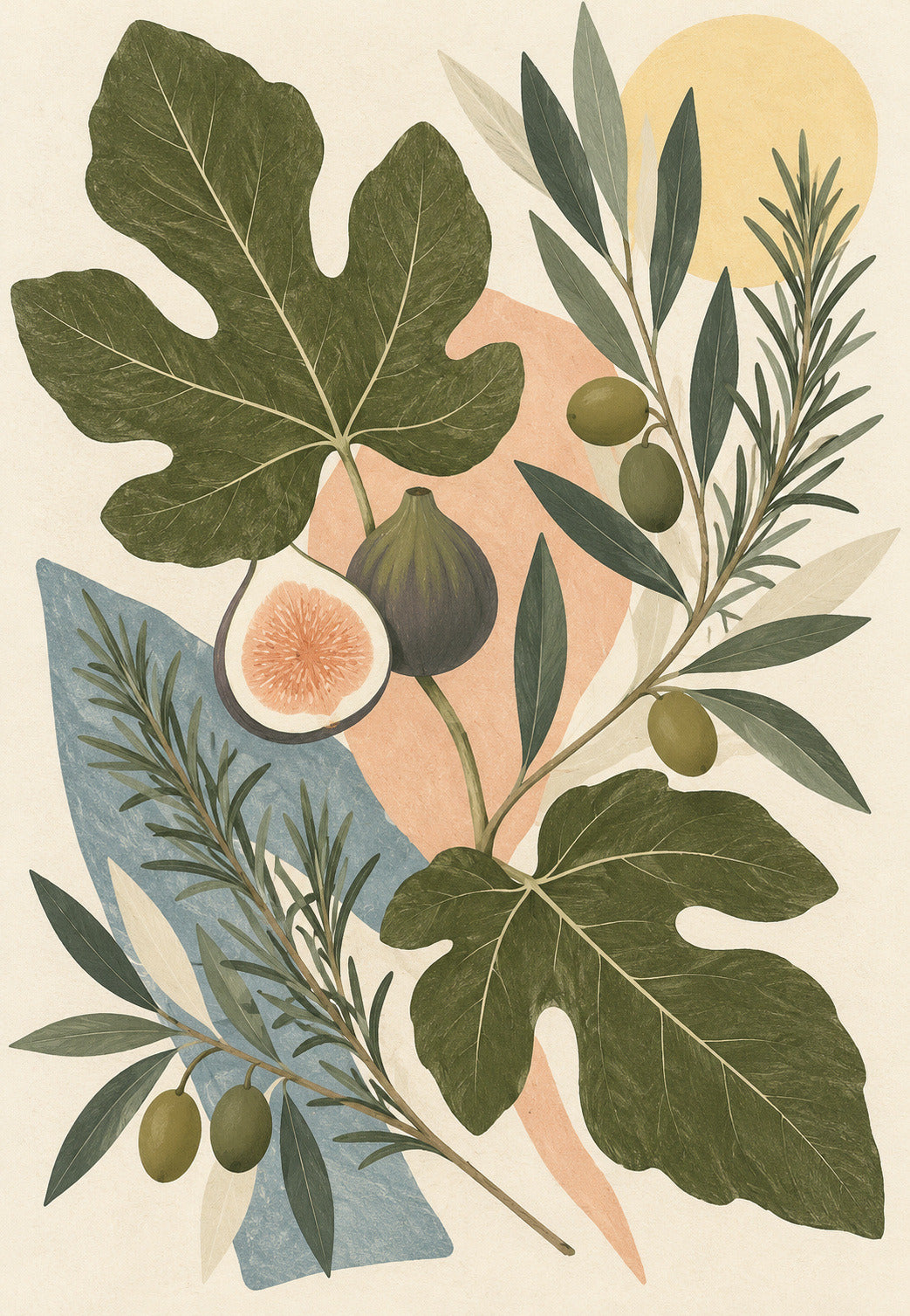 Das Herbarium aus Feige, Olive und Rosmarin
